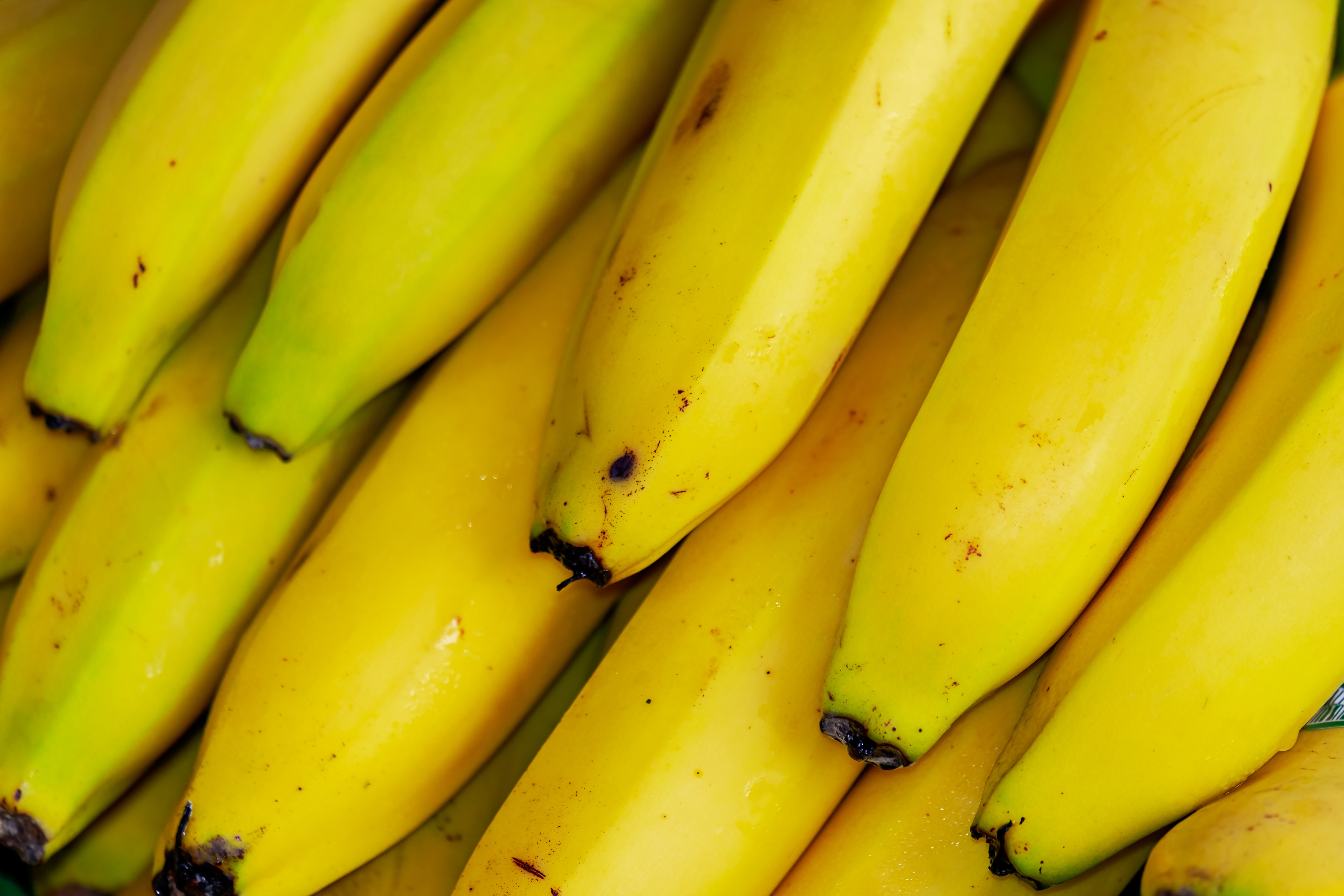 Google Algorithms - It's all bananas!